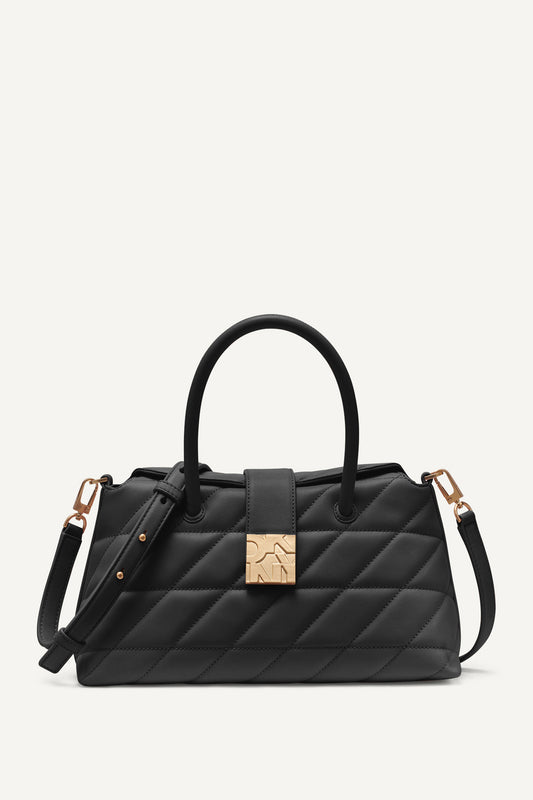 حقيبة ساتشيل دارسي